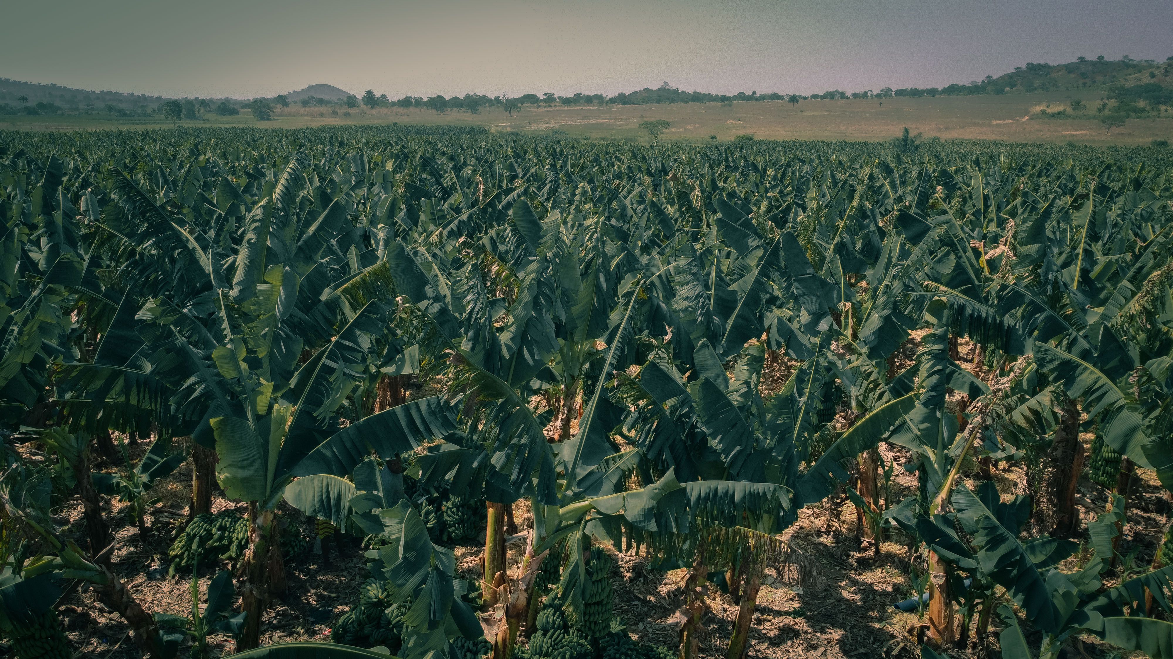 Agriculture operations